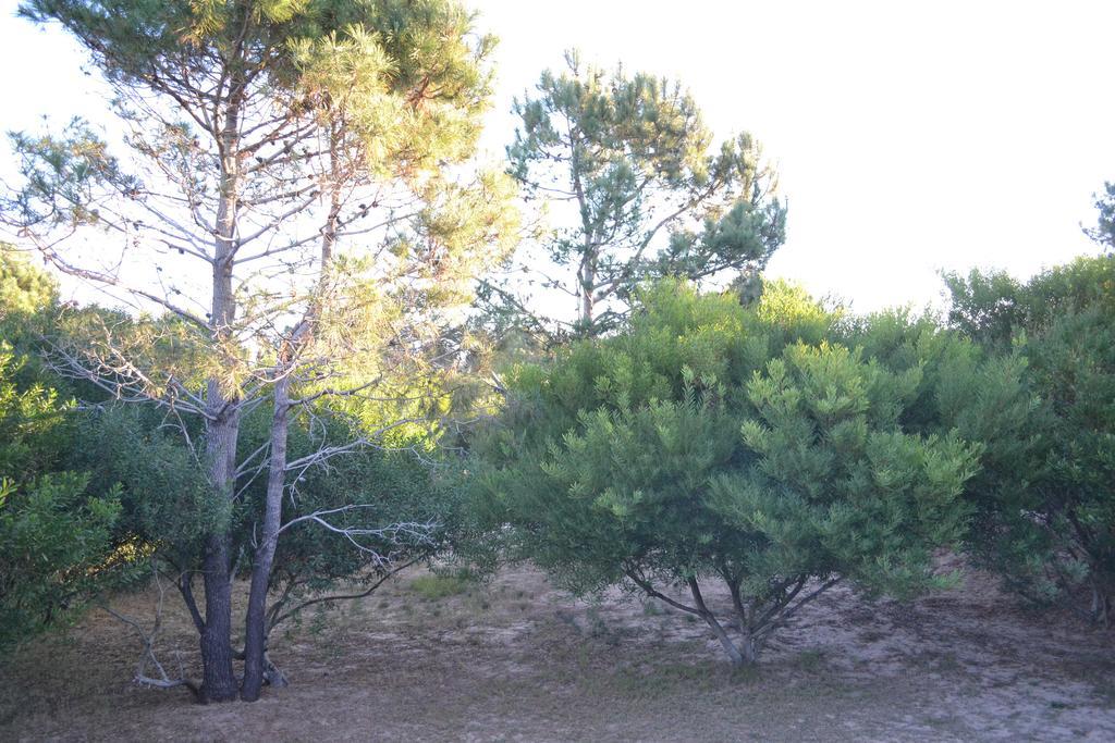 Arenas Del Mar Villa Jose Ignacio  Room photo